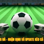 Soi Kèo Bóng Đá – Nhận Định Và Update Kèo Cá Độ Tại Go88