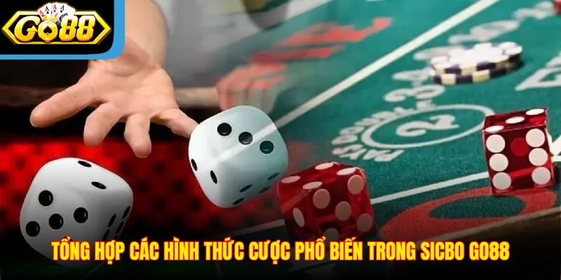 tong-hop-cac-hinh-thuc-cuoc-pho-bien